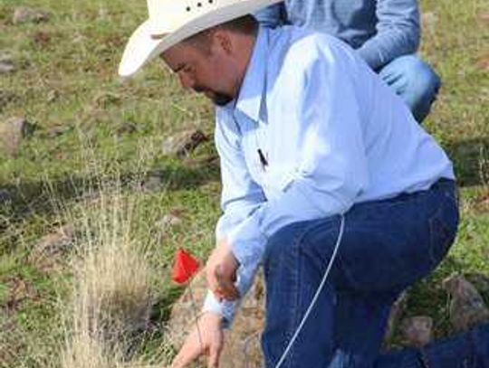 Western Nevada College Specialty Crop Institute presents Holistic Land Management workshop in Fallon
