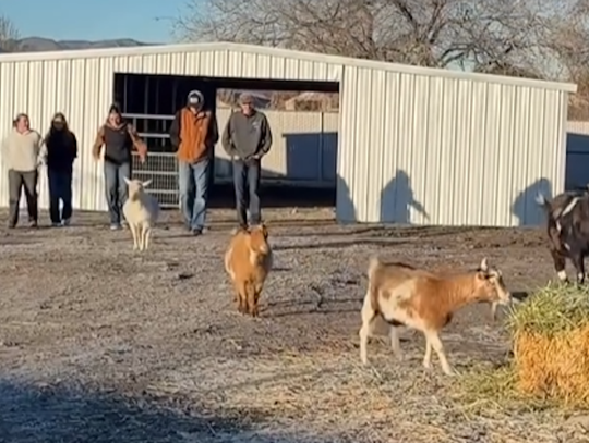 Where the classroom has four legs