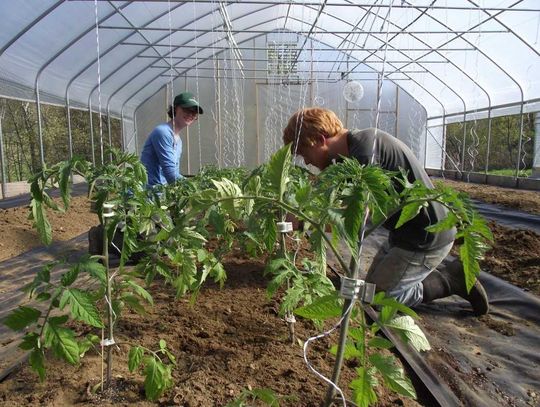 WNC Specialty Crop Institute announces Hoop House Production workshop