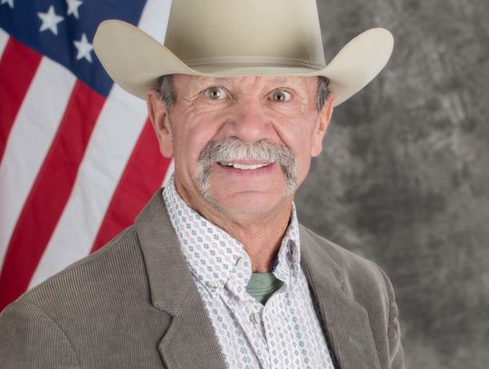 Year in review letter from Mayor Neal McIntyre