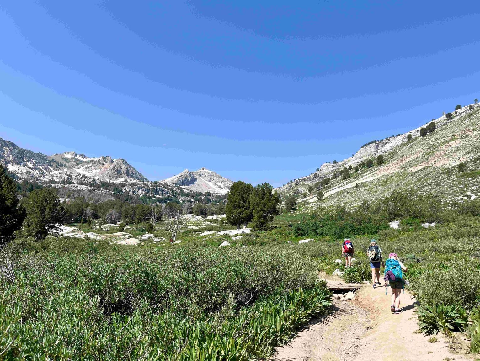 the-light-of-the-world