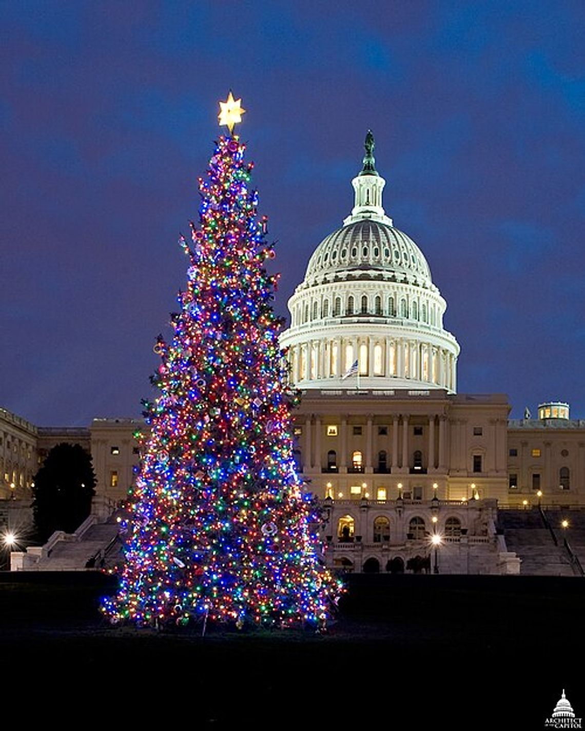 4-H youths help bring Nevada spirit to the nation’s capitol this Christmas