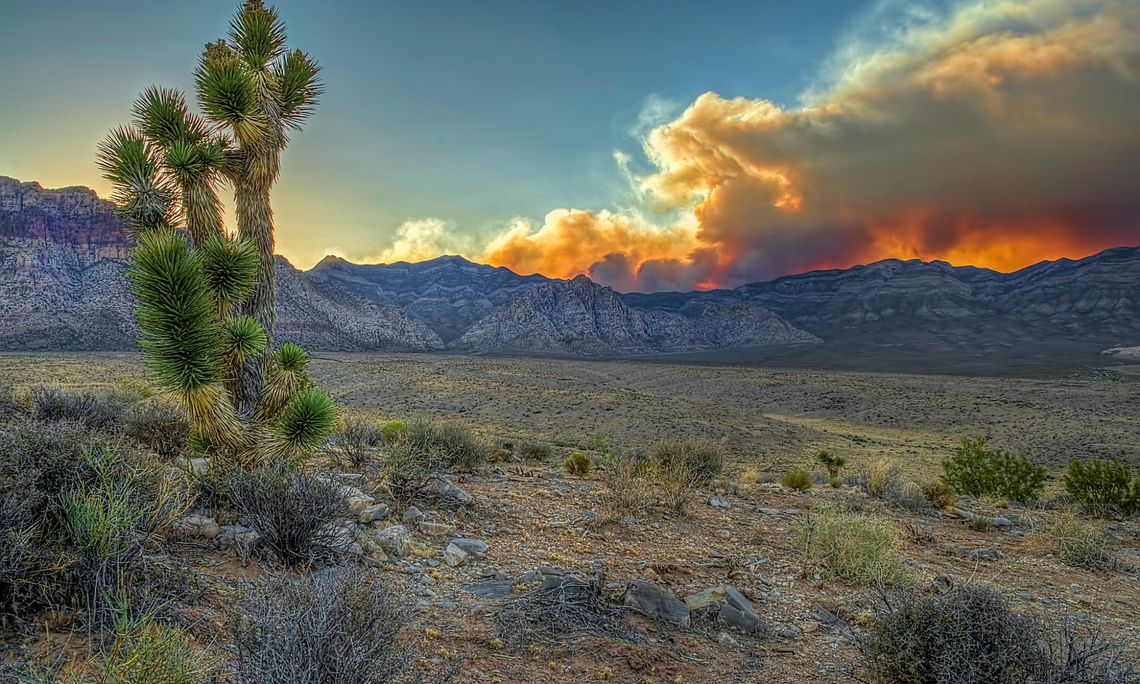 After pushback from local communities, BLM restarts process to come up with plan for rural lands