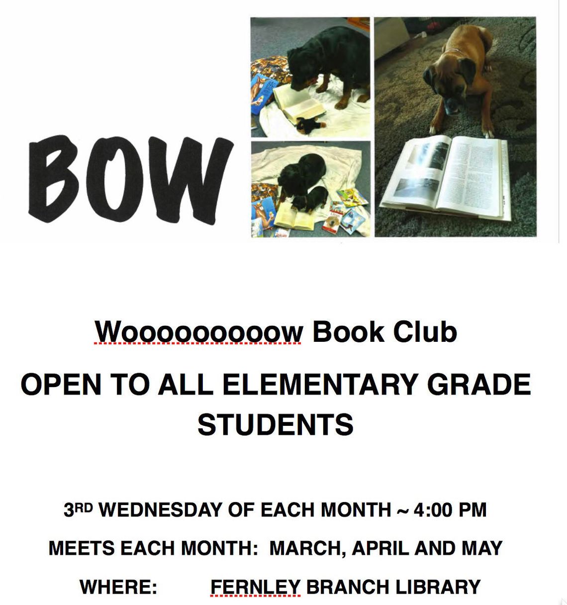 Bow WoooW Book Club at Fernley Library March 13 2018