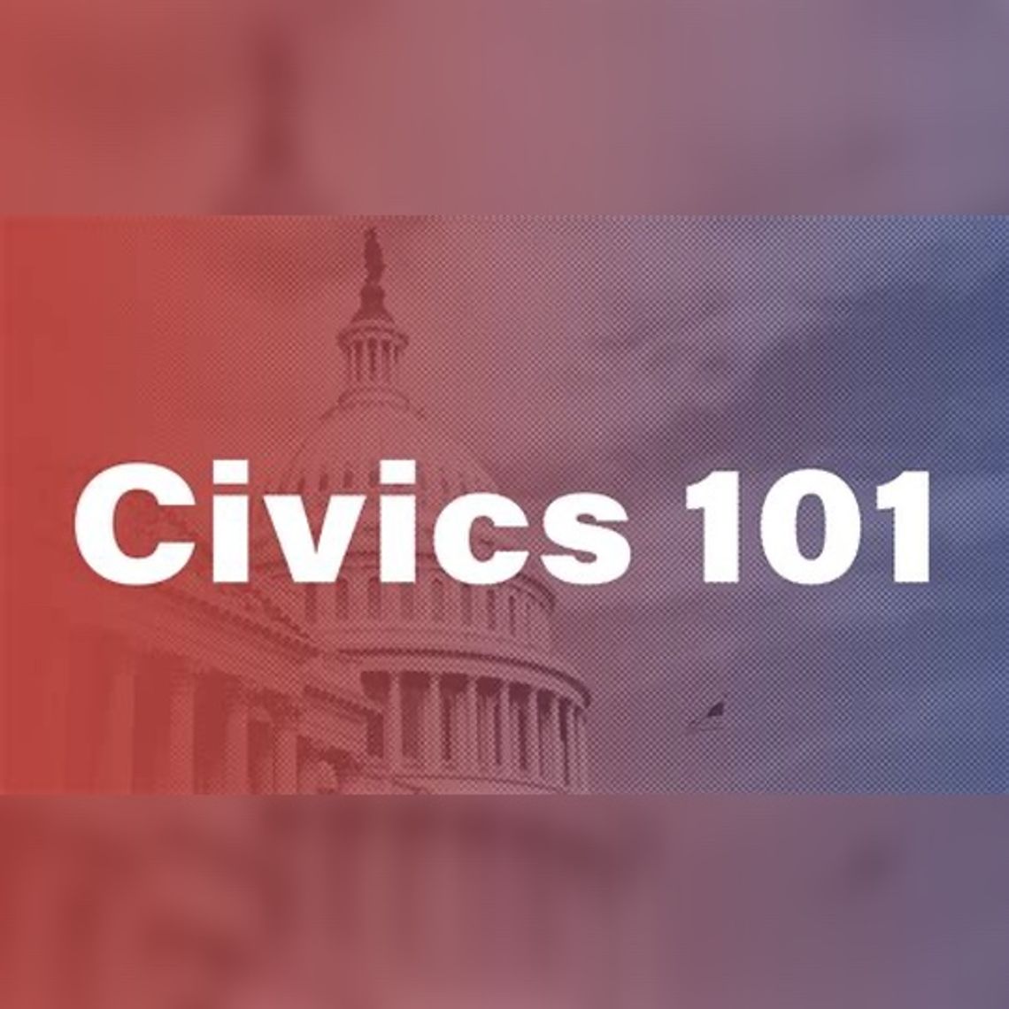 Civics 101: What is a franchise fee and why is 1% at the center of Fernley's power district debate? Civics 101: What is a franchise fee and why is 1% at the center of Fernley's power district debate?