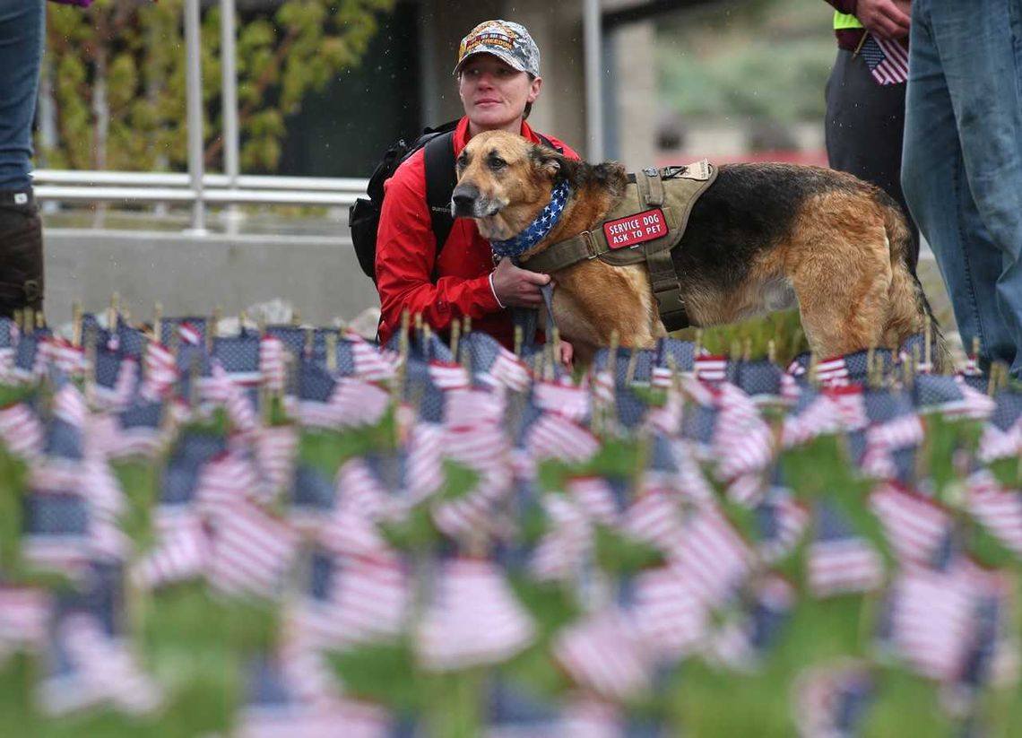 Community invited to participate in WNC Veterans Suicide Awareness March May 5
