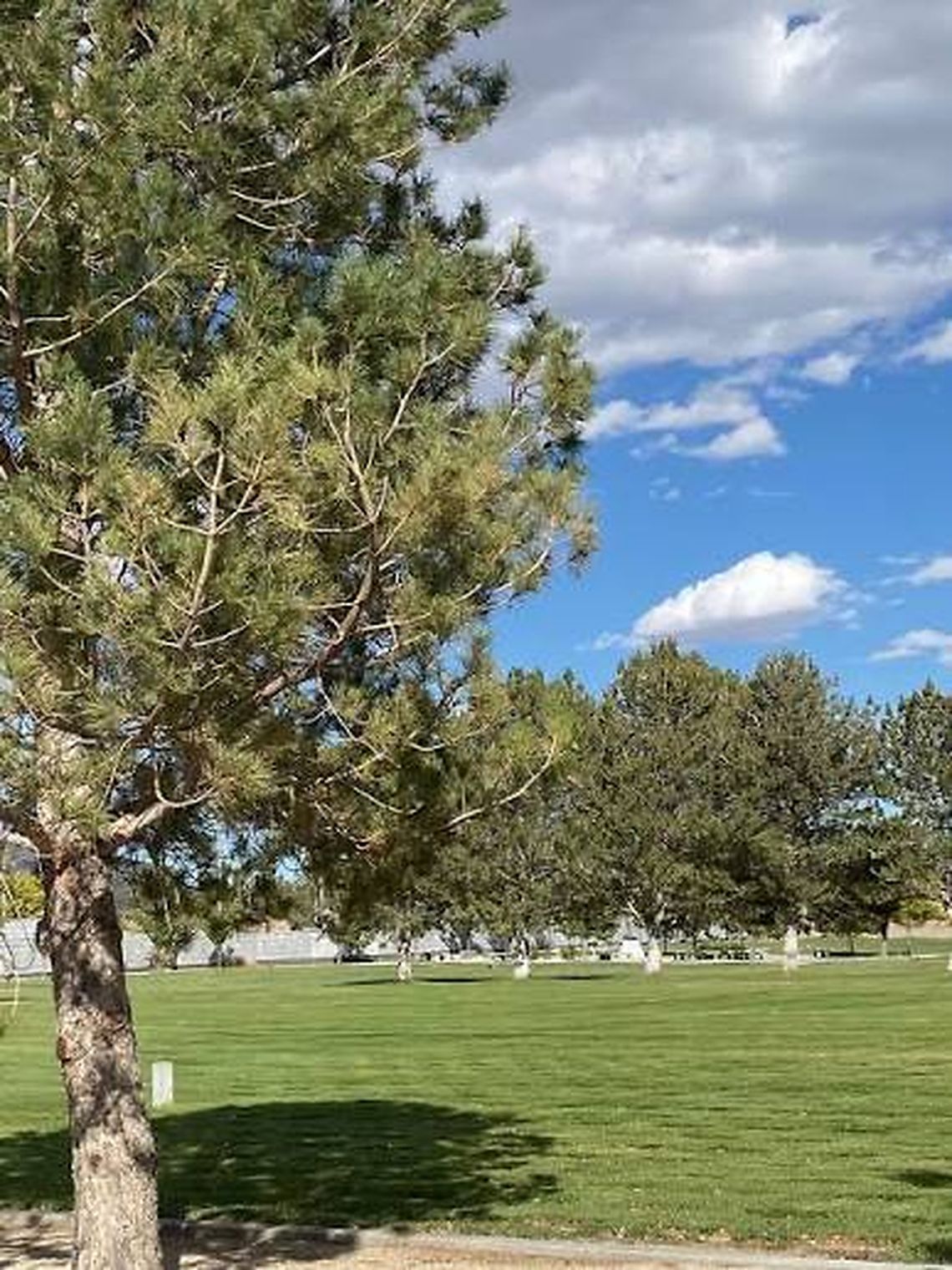 Fernley cemetery master plan aims to create more welcoming, park-like space Fernley cemetery master plan aims to create more welcoming, park-like space