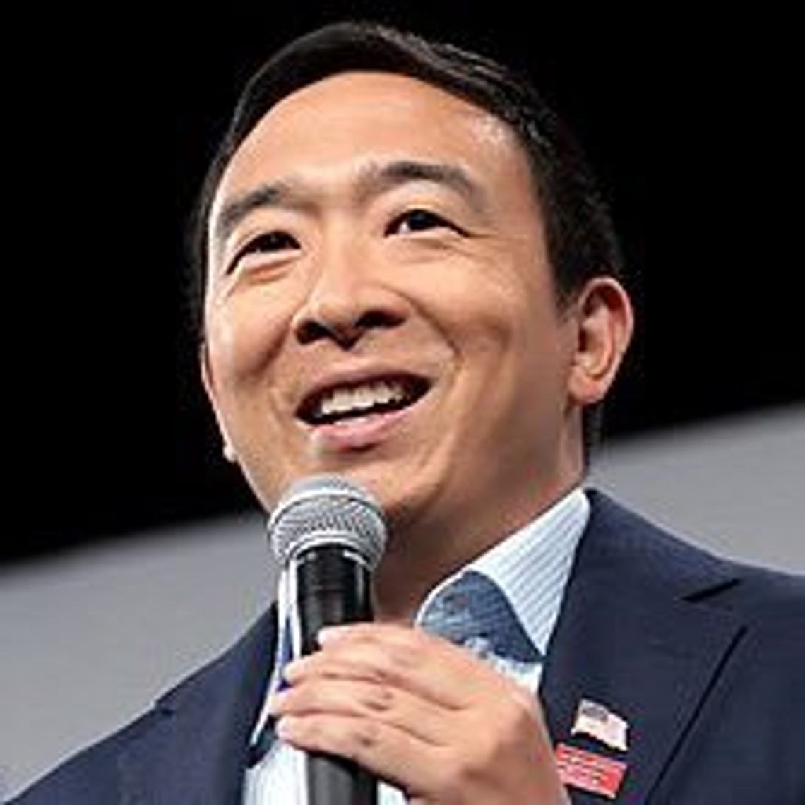 Fernley Democratic Club participating in virtual town hall with presidential candidate Andrew Yang