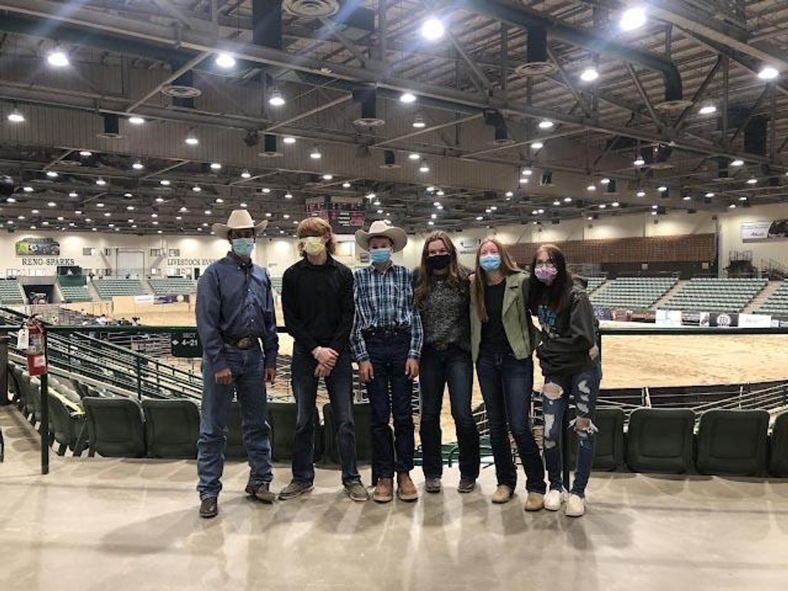 Fernley FFA wins awards at UC Davis livestock judging contest