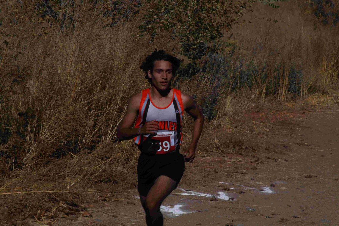 Fernley girls place fifth; Paz takes seventh individually for boys at State Cross Country