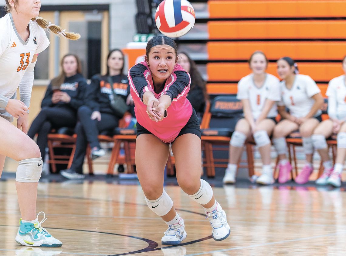 Fernley volleyball chasing top regional seed