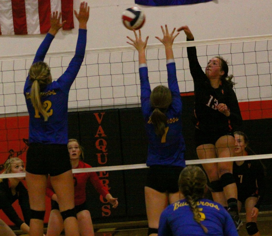 Fernley volleyball tops Lowry to pull into first-place tie