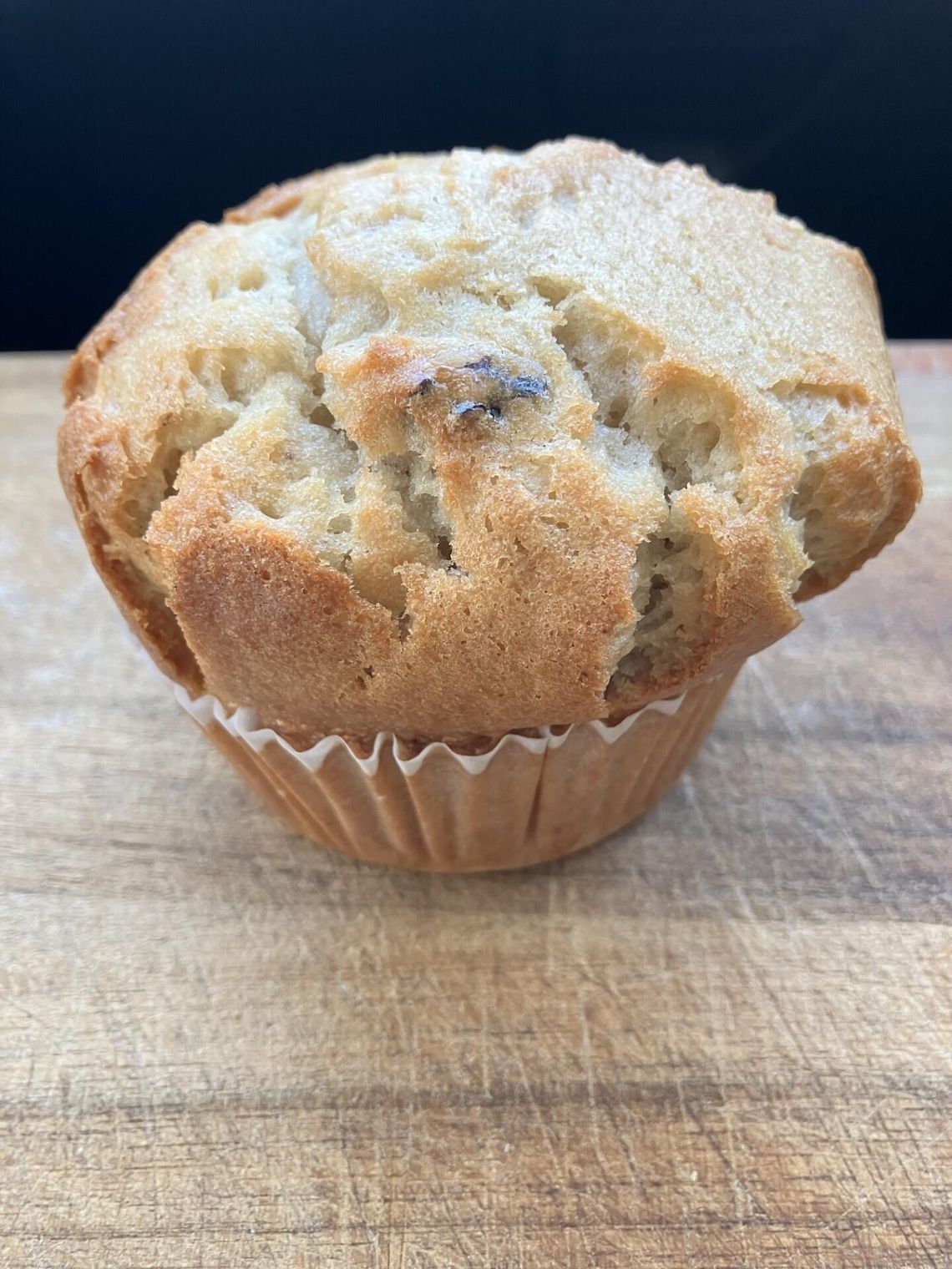 Food For Thought  - Cranberry Oatmeal Muffins