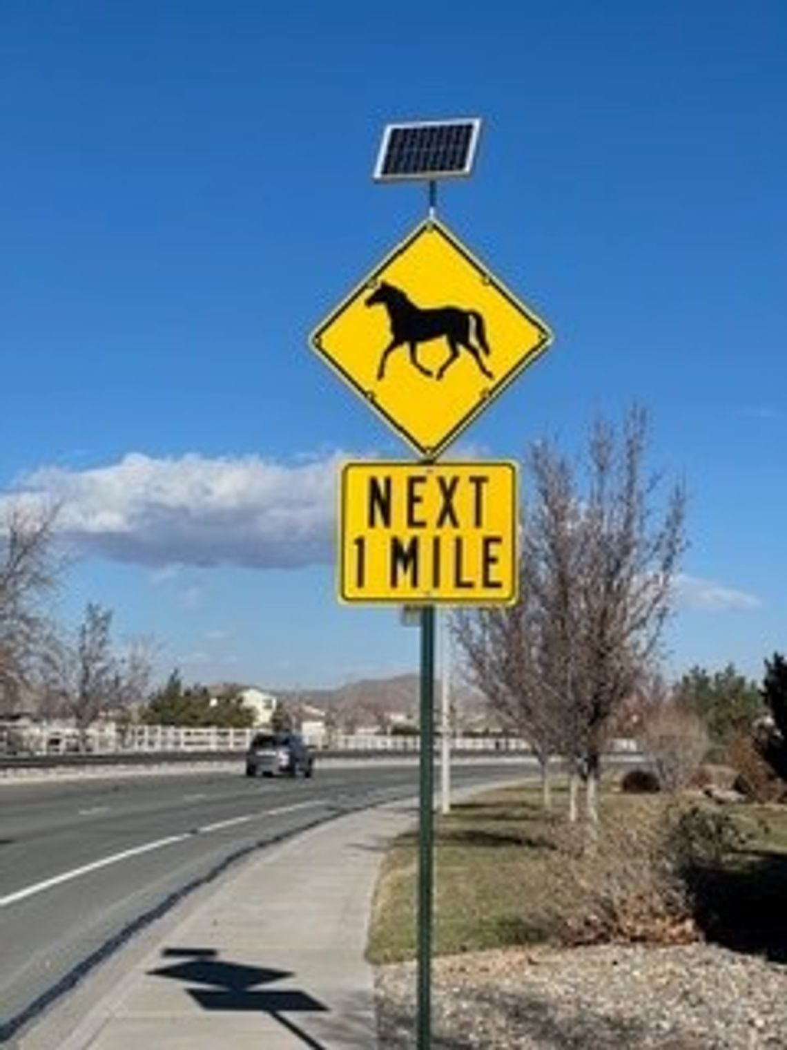 Holiday visitors advised to drive with caution in Wild Horse Country