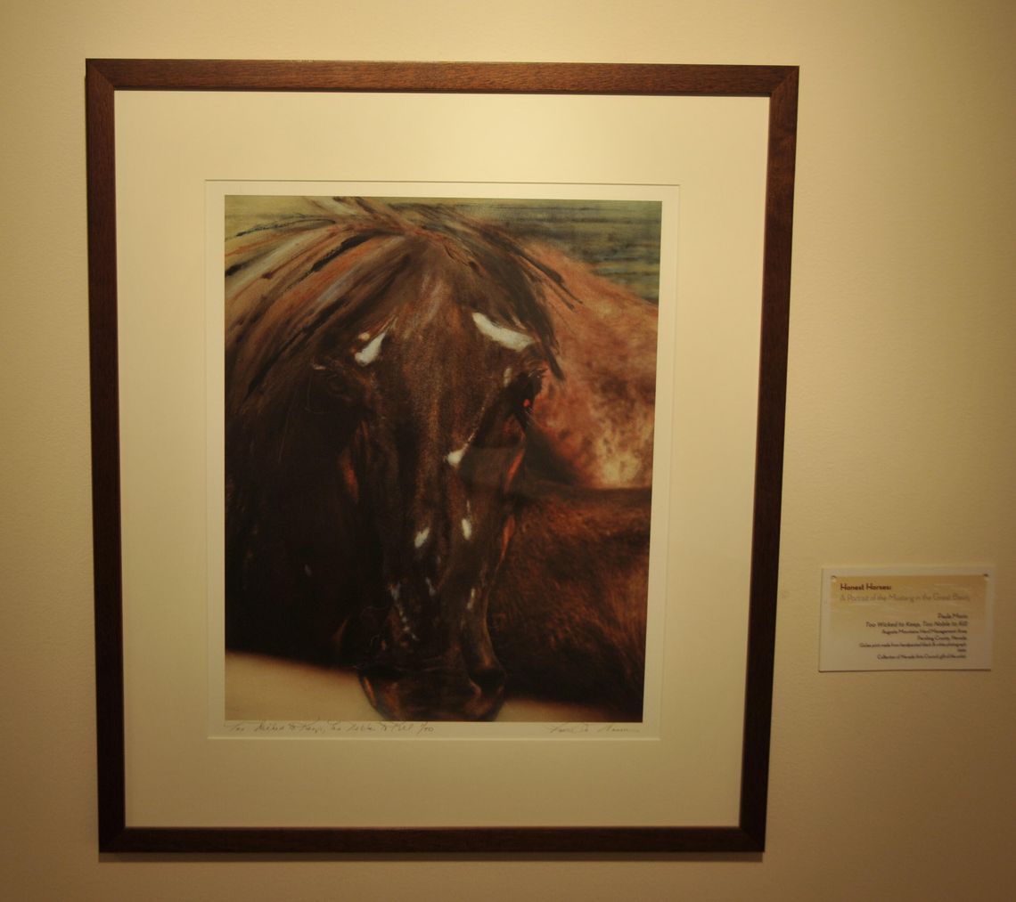 ‘Honest Horses’ exhibit takes peek at mustang culture