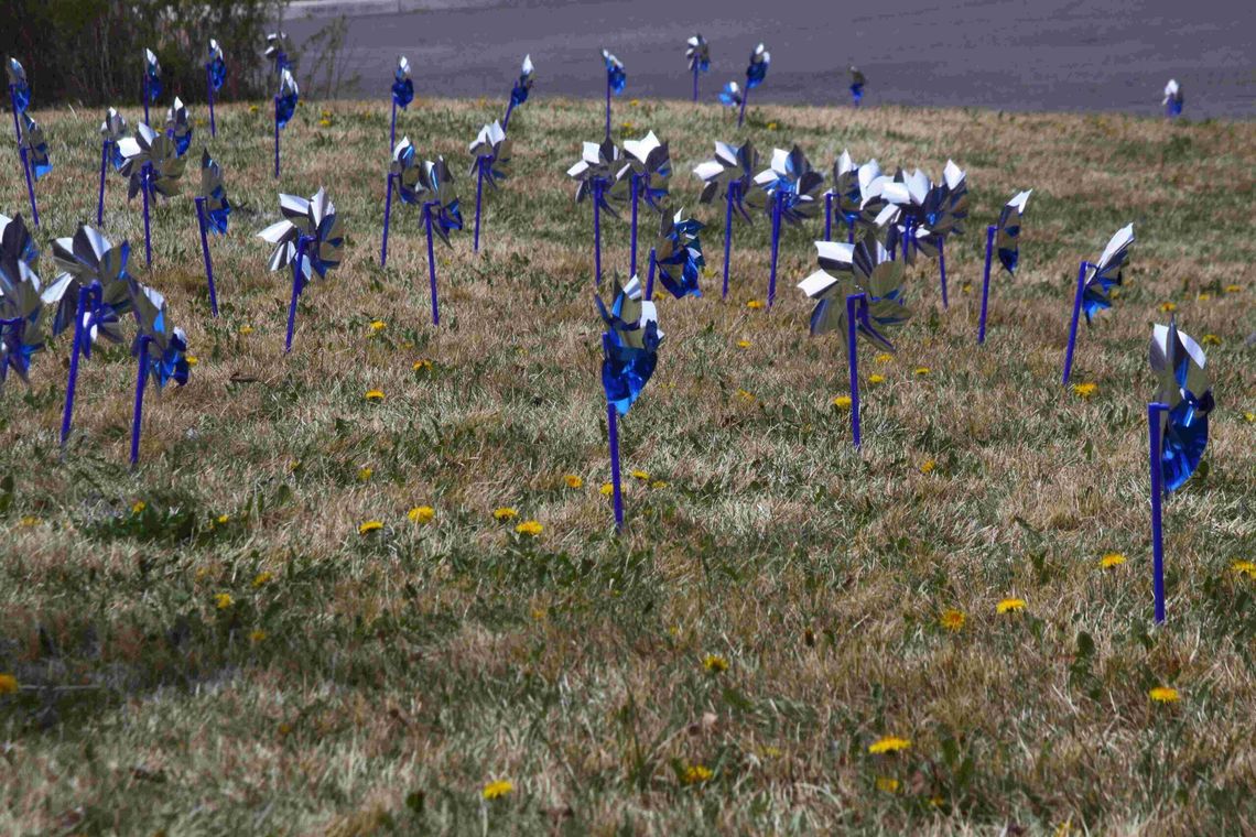 Human Services planting pinwheels in honor of Child Abuse Prevention Month