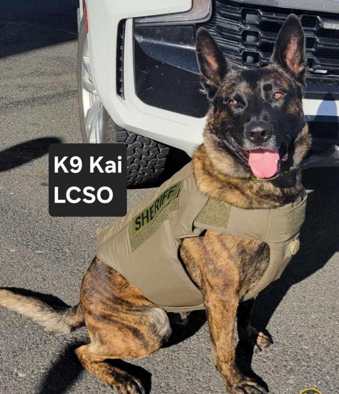 LCSO K9 Blady repeats as Top Dog at Regional K9 Challenge
