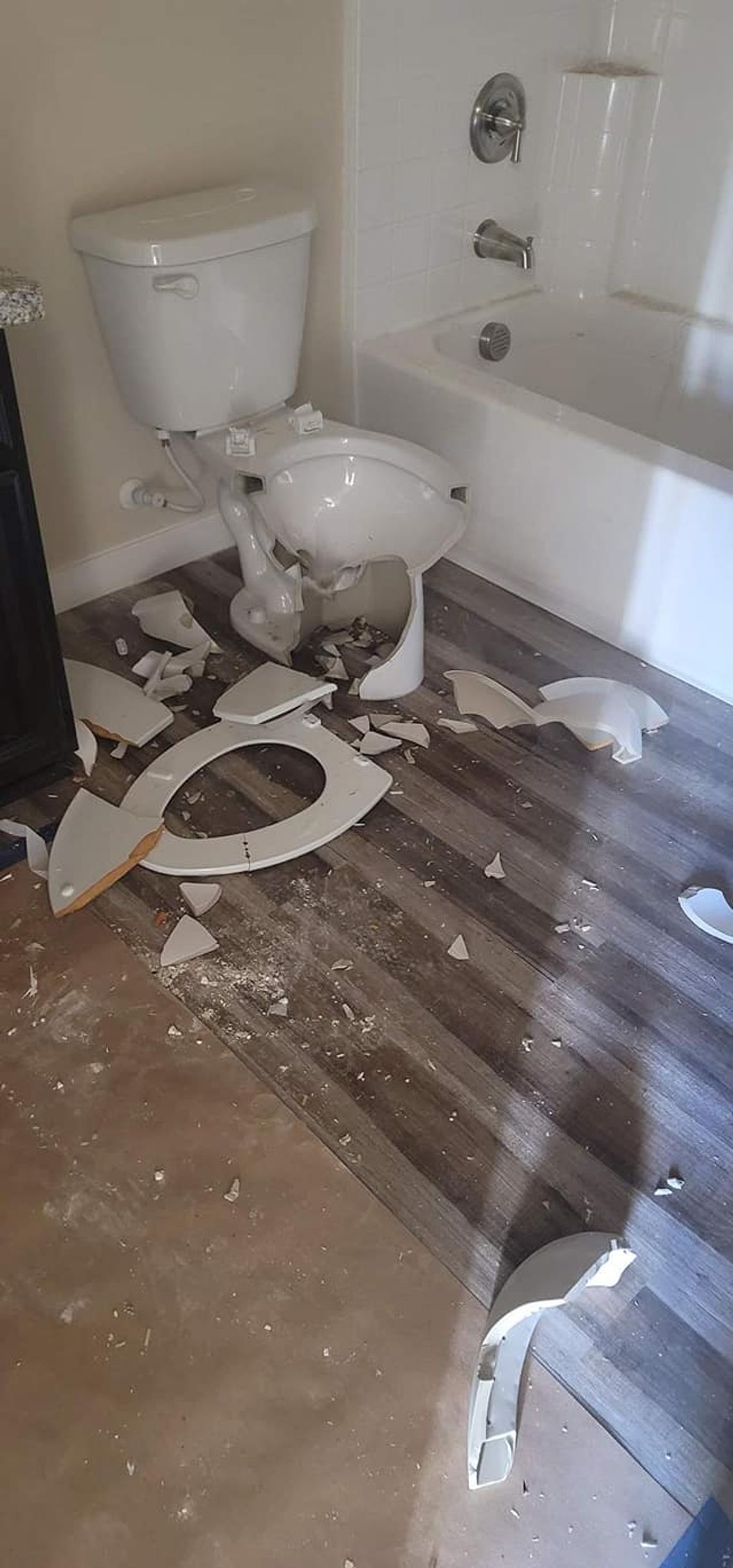 LCSO looking for person who vandalized new homes