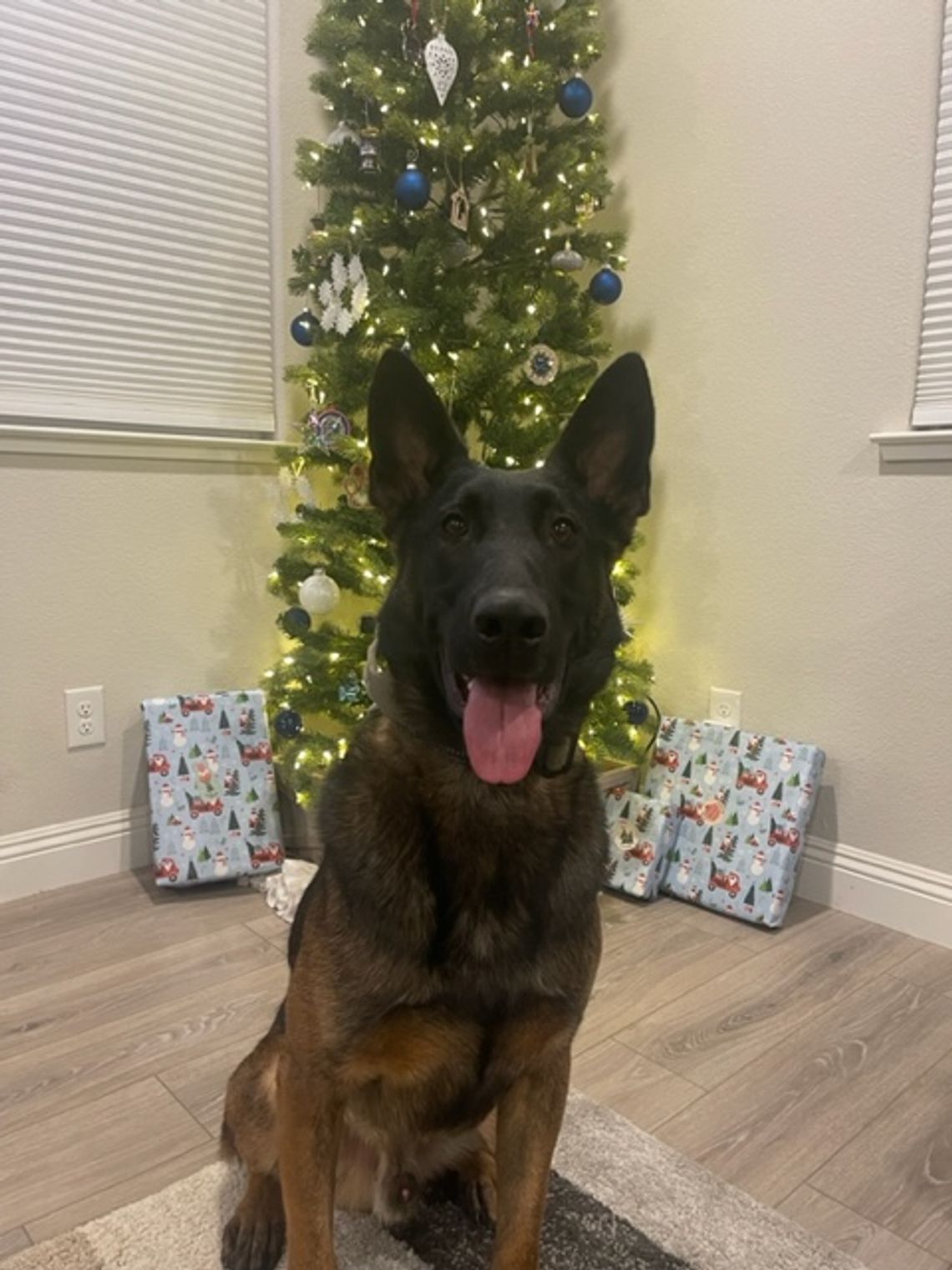 Lyon County Sheriff’s Office K9 Ares to get donation of body armor