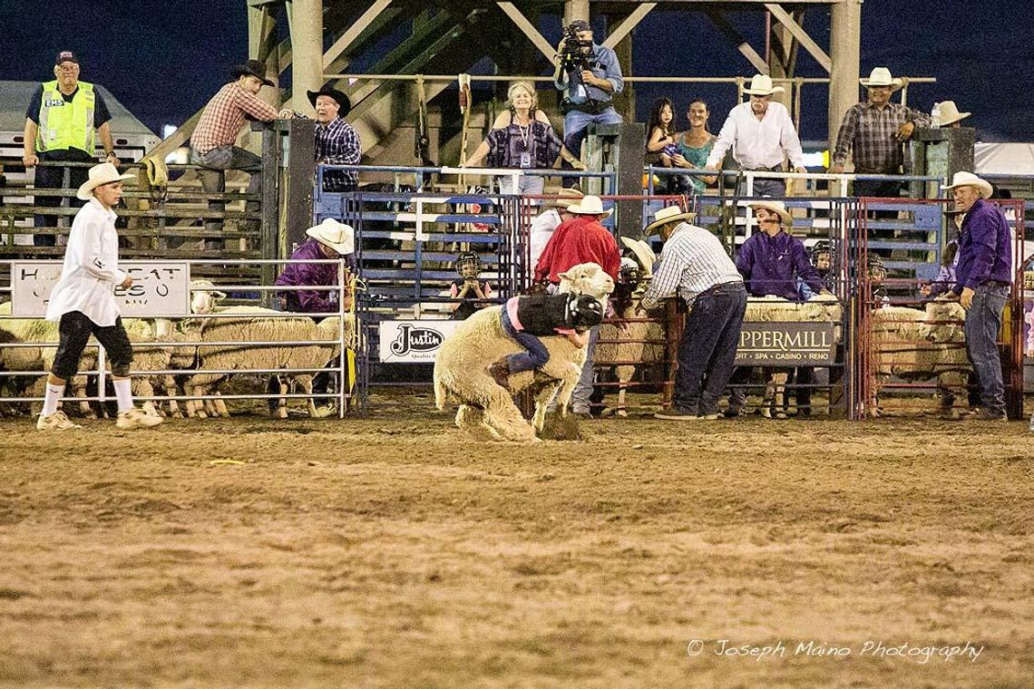 “Mutton Bustin'” at the Senior Pro Rodeo Aug. 13