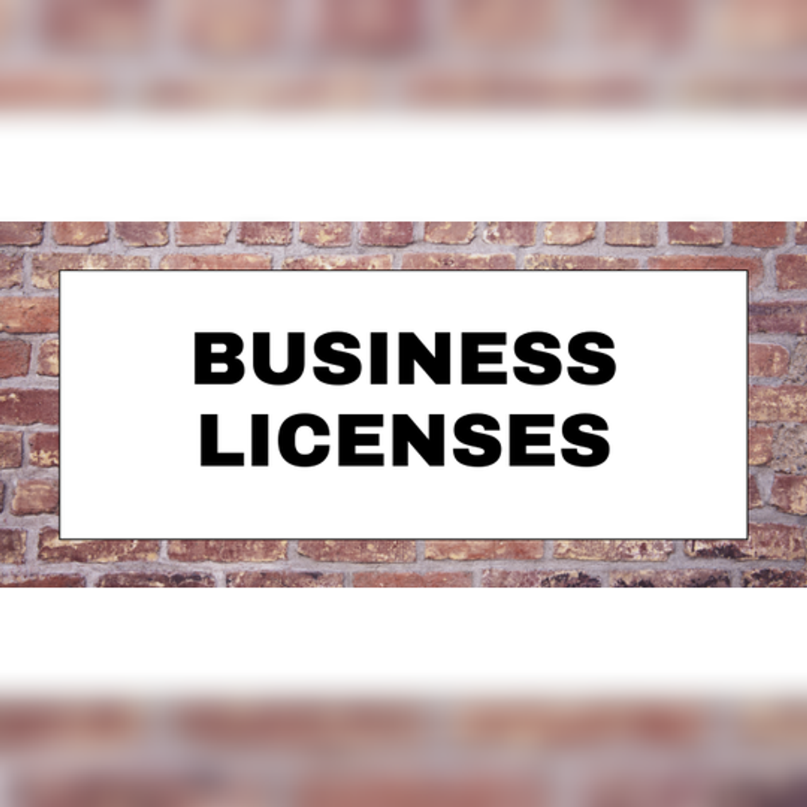 New business licenses