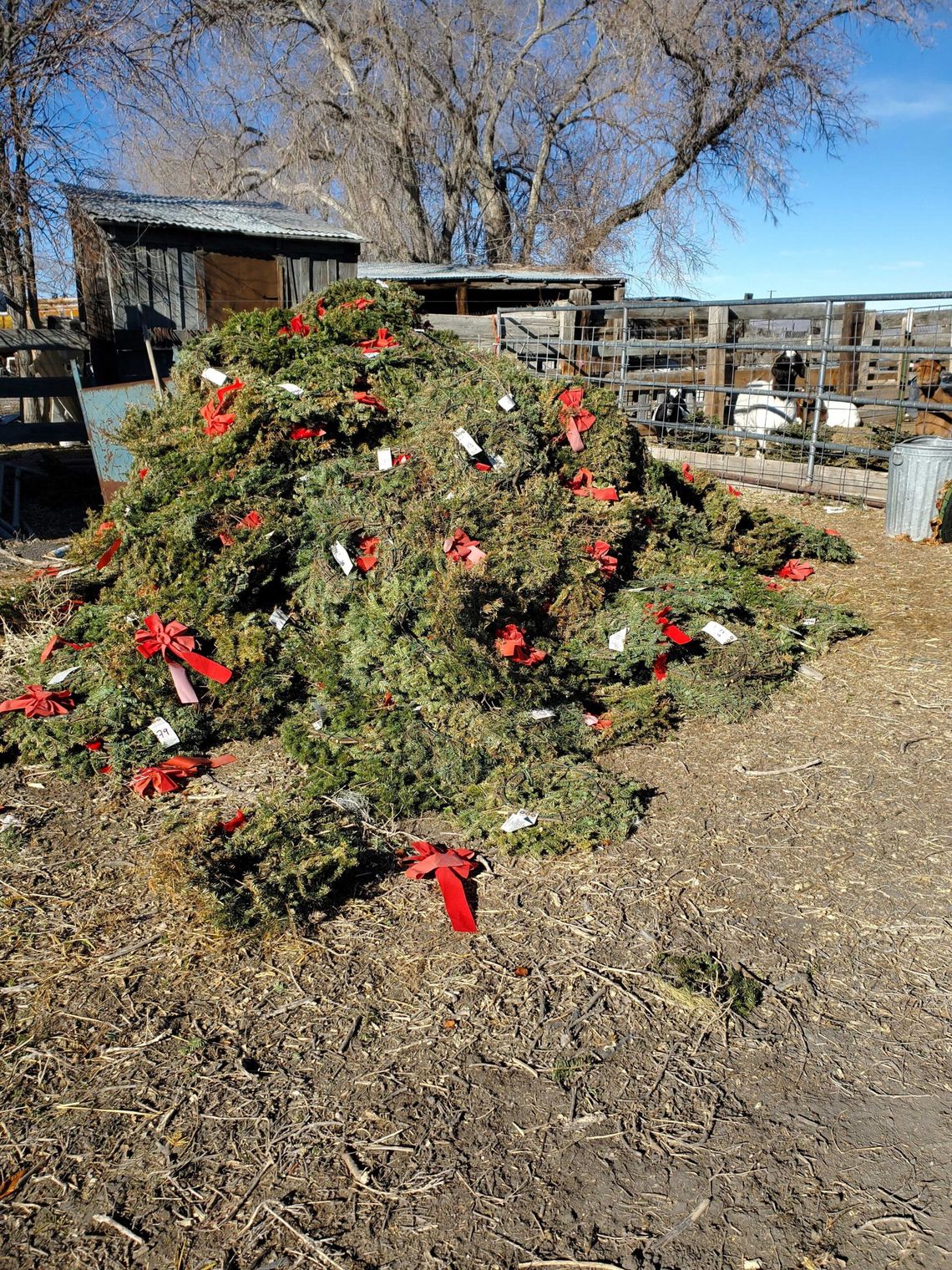 NNVMC Wreaths Recycling Program Flourishing with Help from High Desert Grange