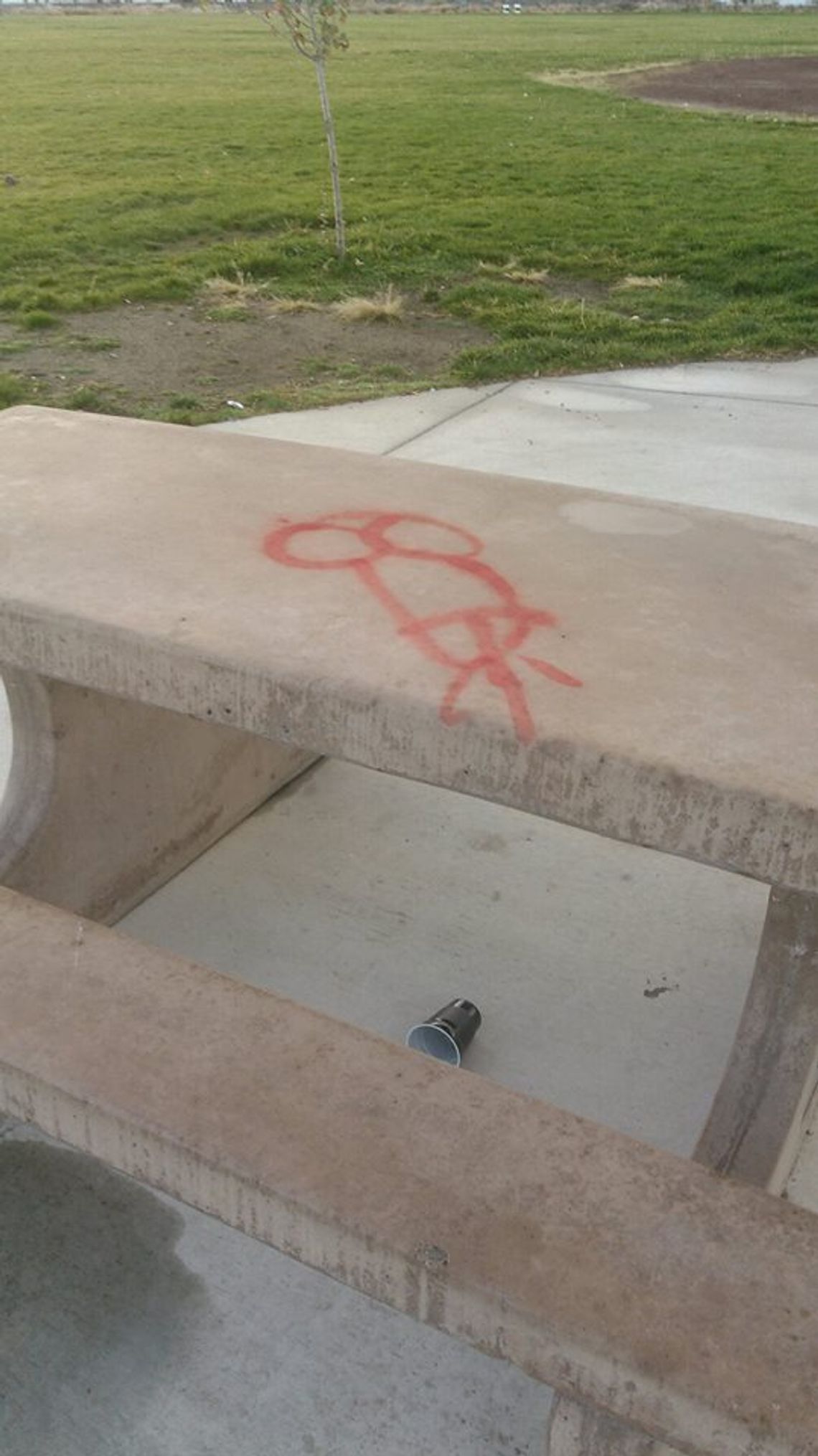 Out of Town Park hit with more vandalism