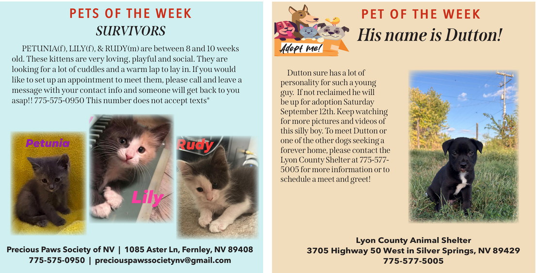 Pets of the Week