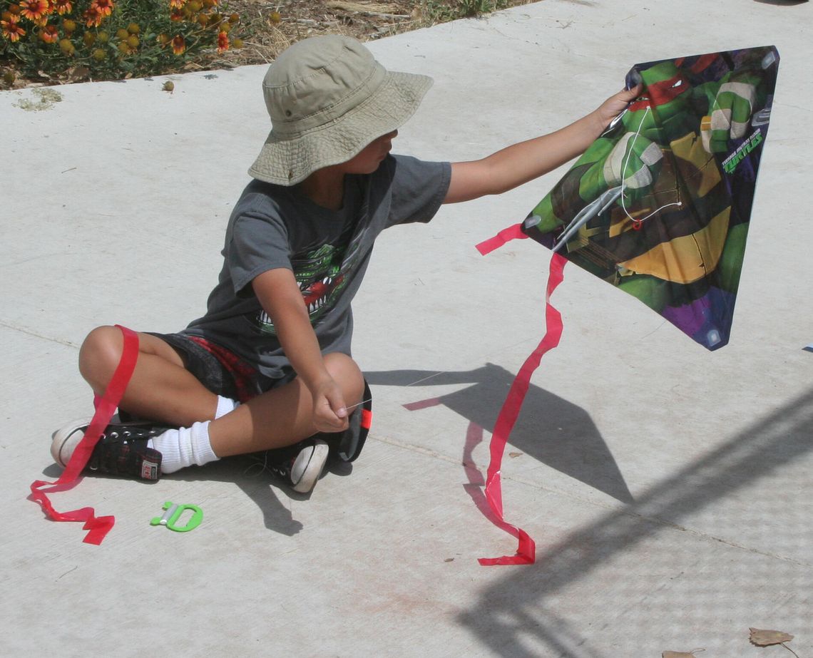 Photos: Fernley Kite and Frisbee Festival, July 24