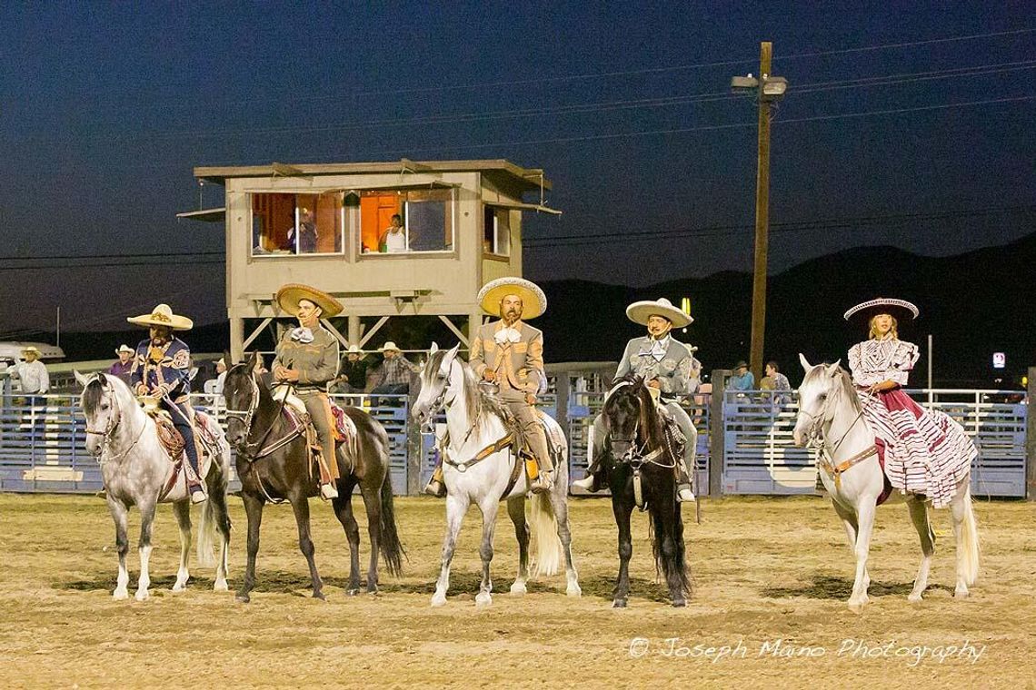 Photos: Mexican Dancing Horses Aug. 13