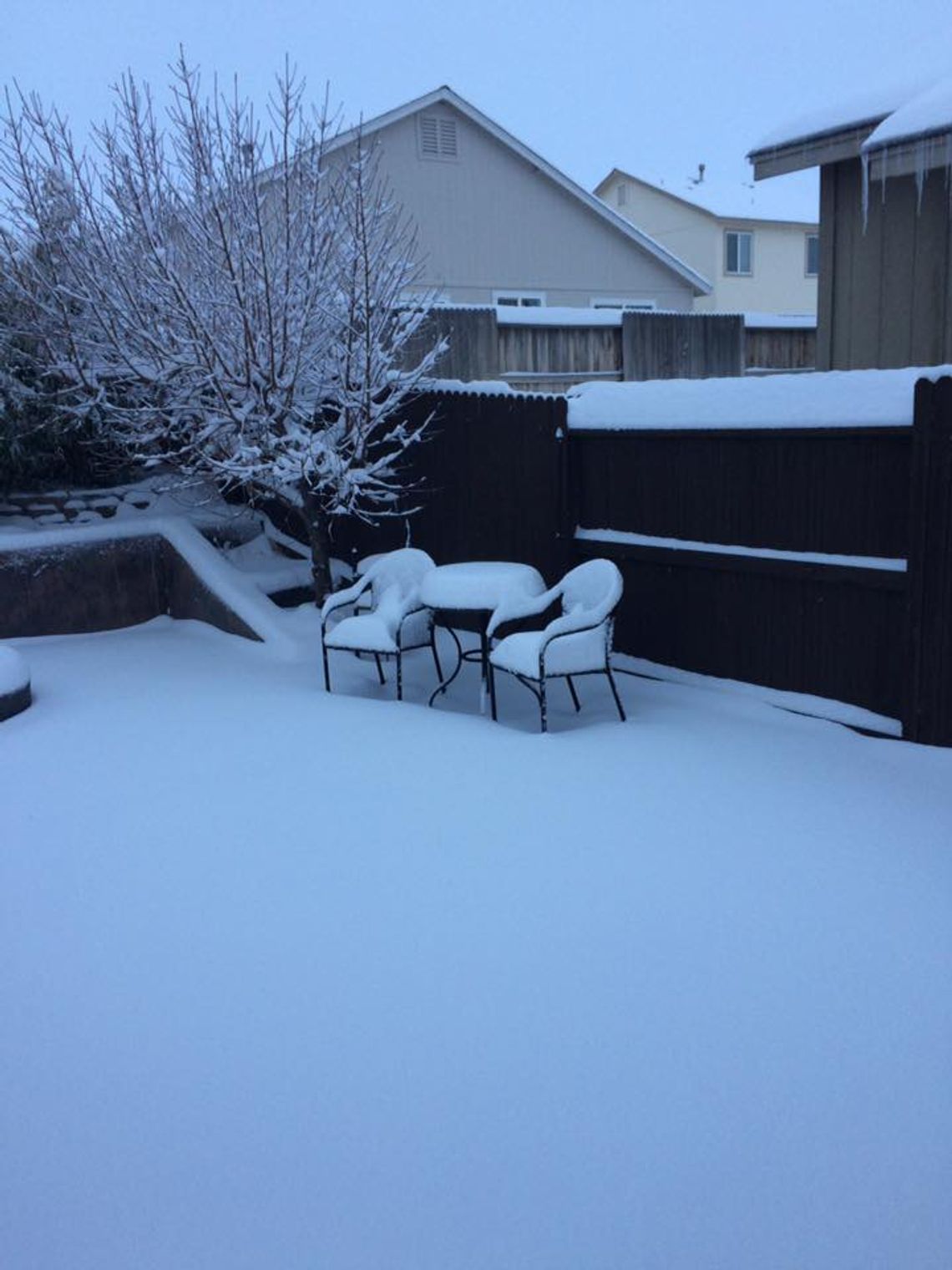 Pictures of snow, Jan 5, 2017