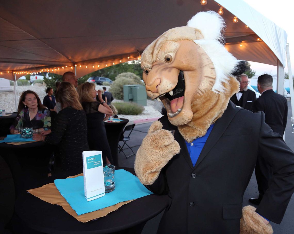 Reach for the Stars on Aug. 11 to help students, academics