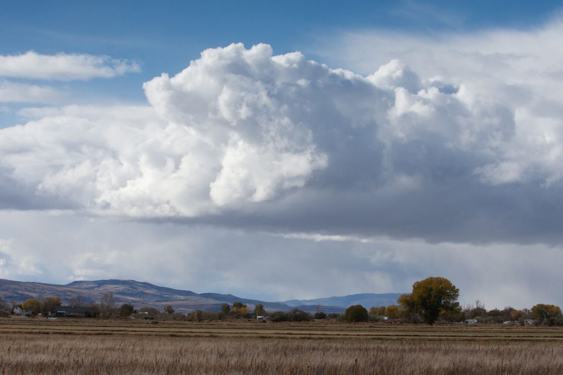 Rural Nevadans face ‘major crisis’ in neurological services, at higher risk for Alzheimer’s, dementia