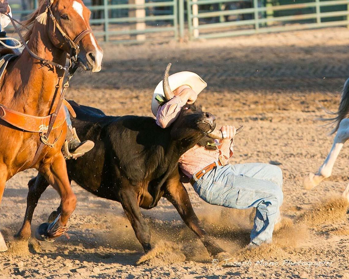 Senior Pro Rodeo Aug. 11