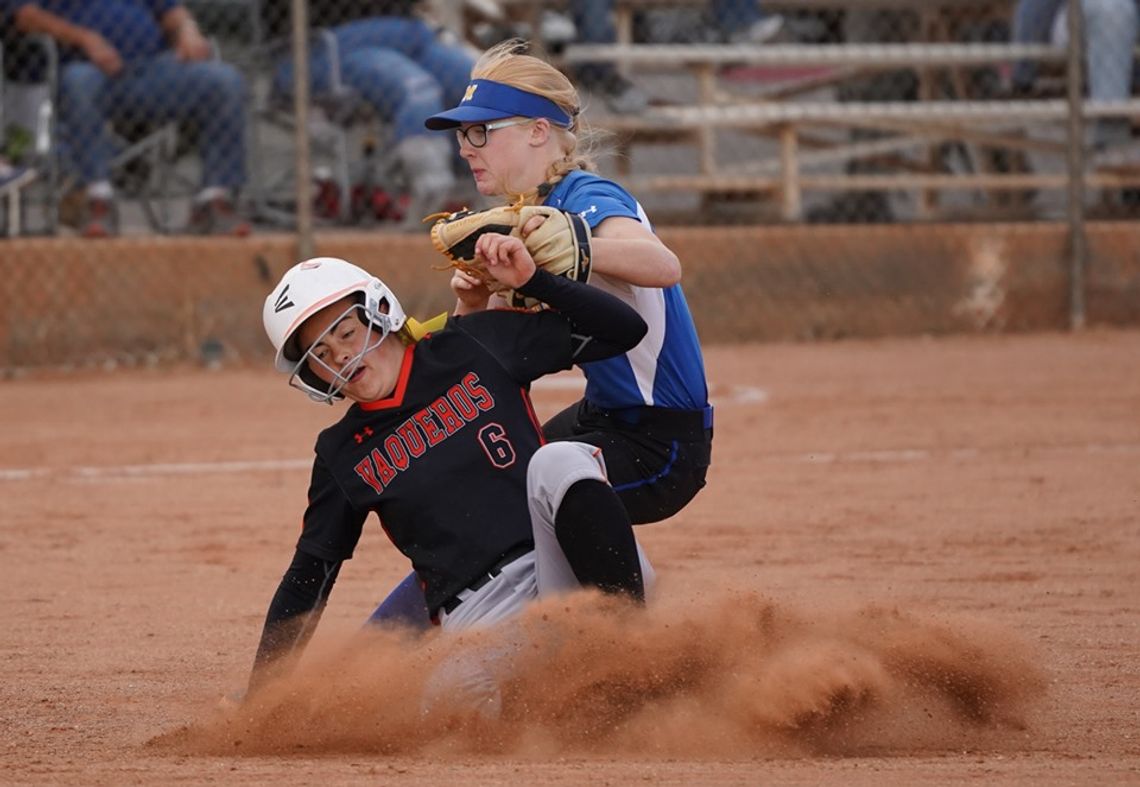 State Tournament ends in heartbreak for Vaqueros