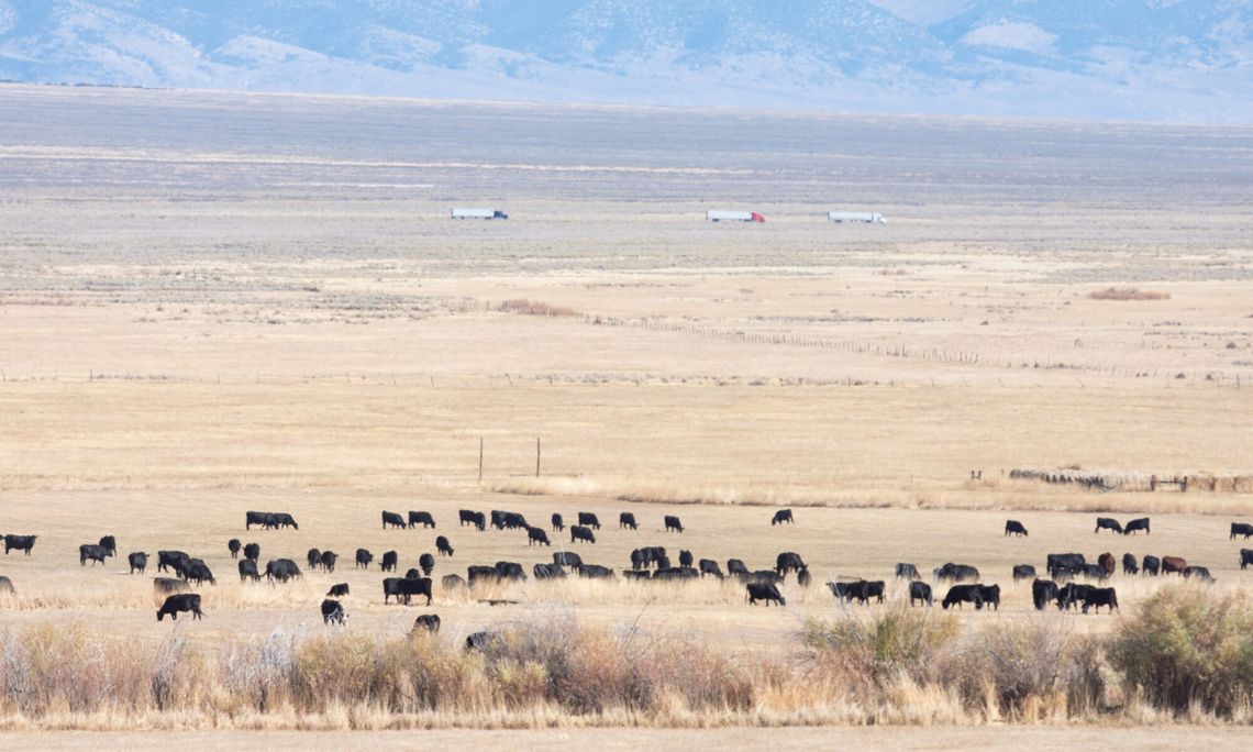 Utah’s bid for control of federal land gets support from Elko commissioners