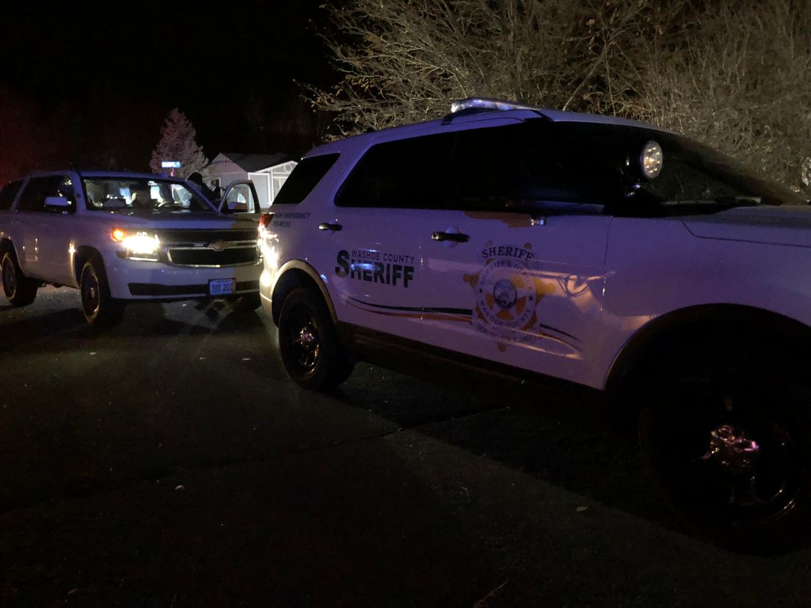 Victim identified in Wadsworth homicide