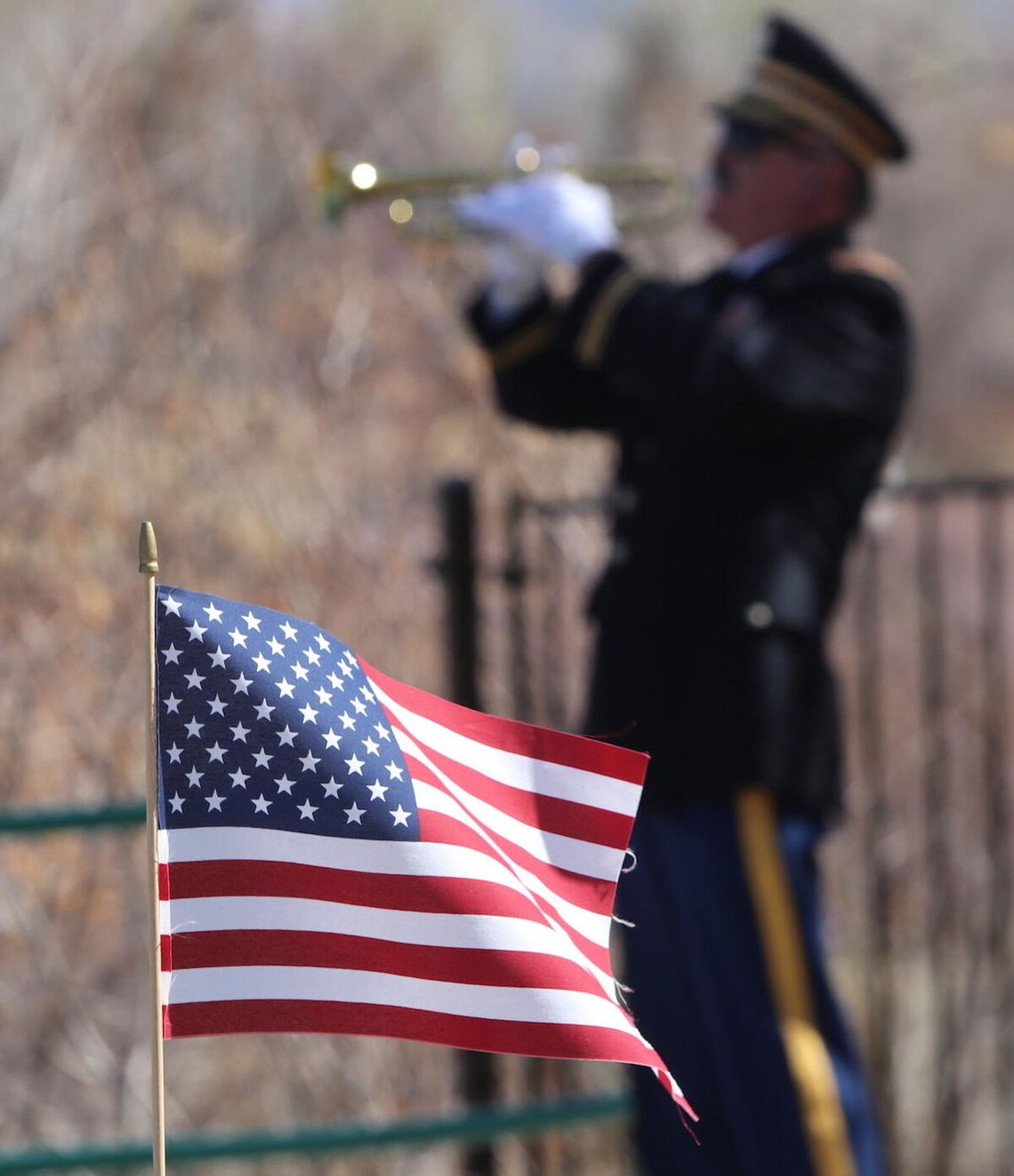Vietnam War vets honored for their sacrifices