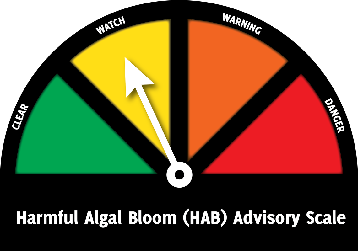 Water testing underway after possible algae bloom spotted at Lahontan Reservoir