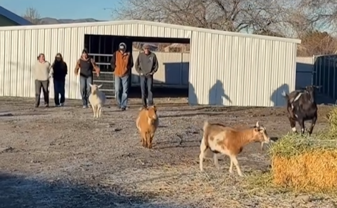 Where the classroom has four legs Where the classroom has four legs