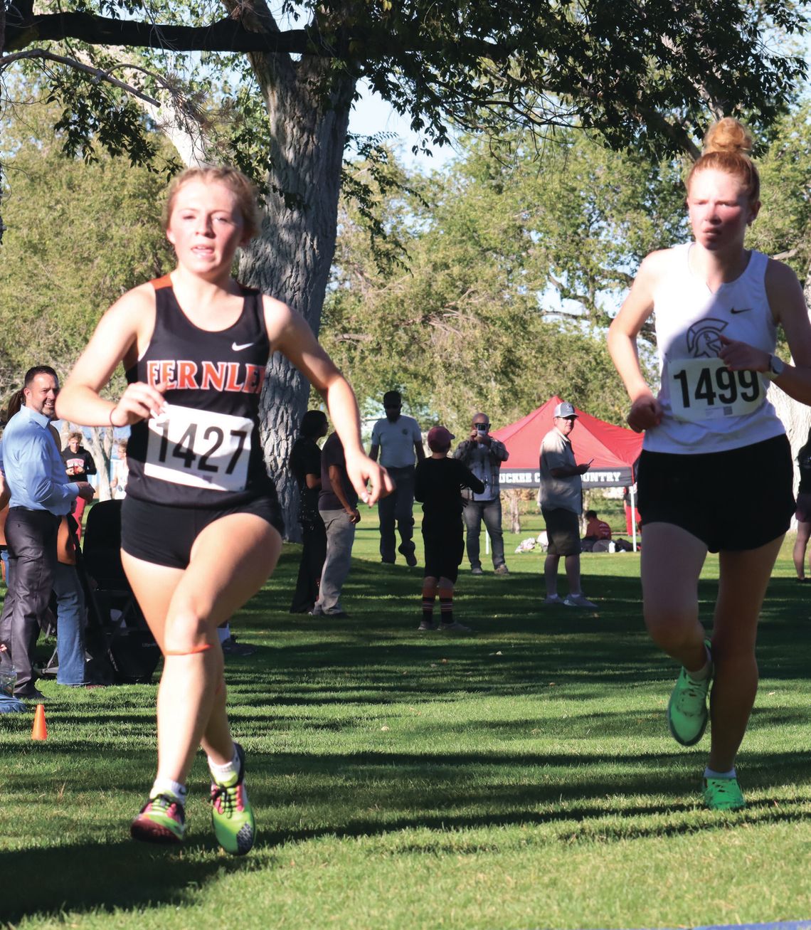 Wilson leads Fernley boys at Lowry Invitational