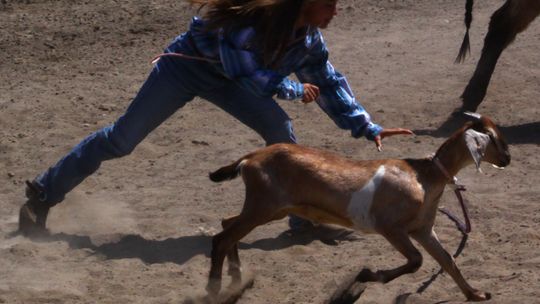 Fernley Junior Rodeo