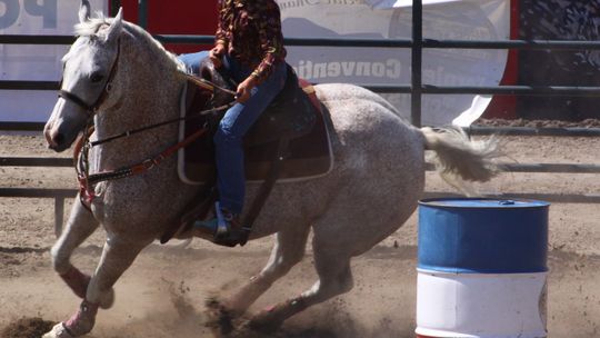 11b Junior Rodeo Paydyn Torvik Fallon.JPG