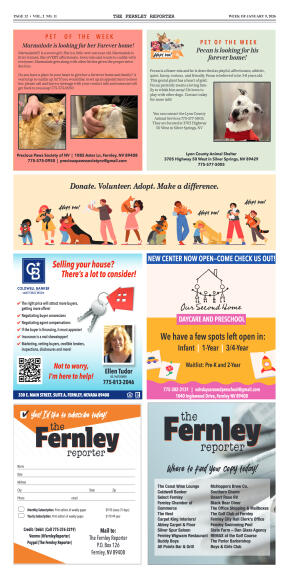 Jan. 9th 2026 - LCSO continues investigation into  - page 12